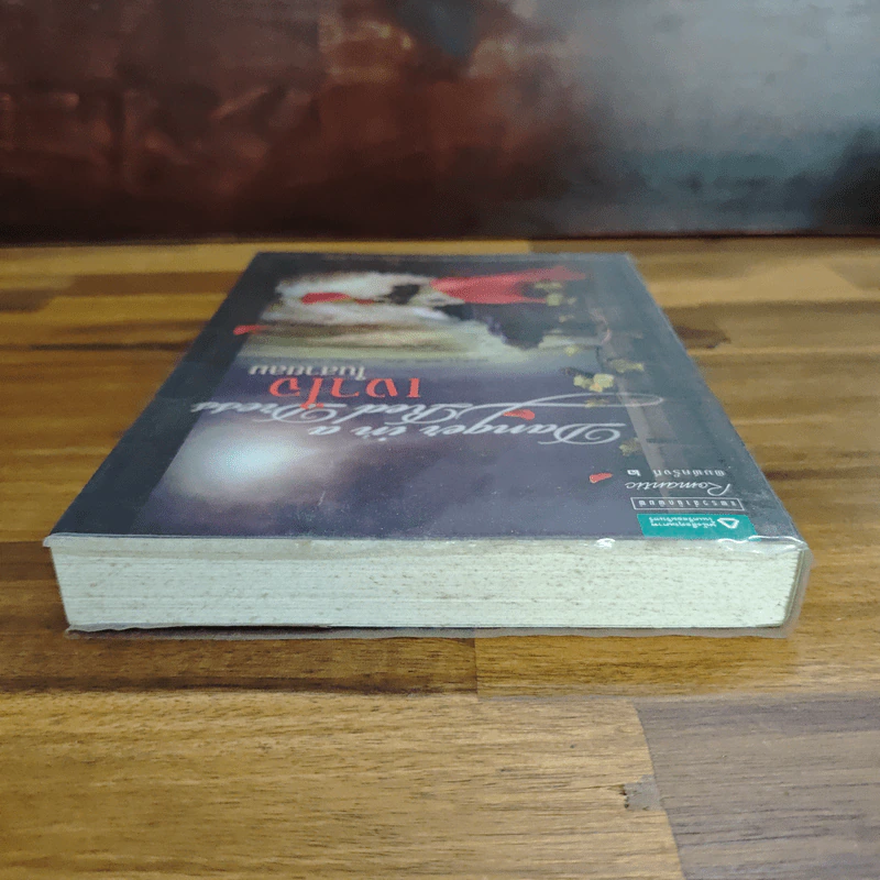 เงาใจในสายลม Danger in a Red Dress - คริสติน่า ดอดด์ รูปที่ 5