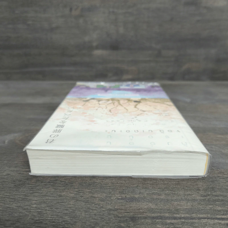 ตับอ่อนเธอนั้นขอฉันเถอะนะ : I Want to Eat Your Pancreas - Yoru Sumino (โยรุ ซูมิโนะ) รูปที่ 4
