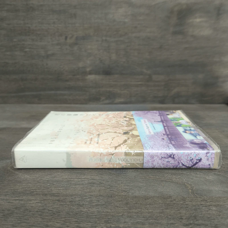 ตับอ่อนเธอนั้นขอฉันเถอะนะ : I Want to Eat Your Pancreas - Yoru Sumino (โยรุ ซูมิโนะ) รูปที่ 2