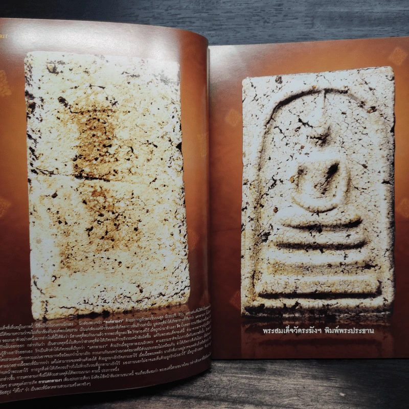 Spirit ฉบับที่ 42 พ.ย.2551 รูปที่ 8
