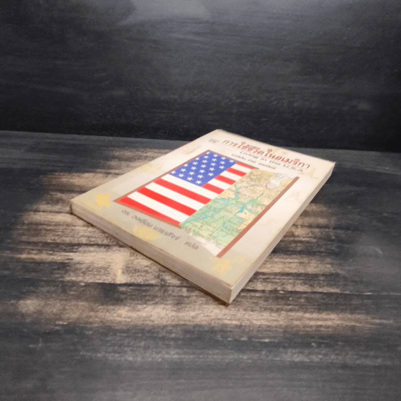 การใช้ชีวิตในอเมริกา Living in the U.S.A. - แอลิสัน อาร์. แลเนียร์ รูปที่ 4