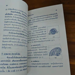 ทายรัก ทายนิสัย ทายใจ จากลายมือ - โนริ รูปที่ 8