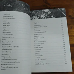 แสงสว่างในความรู้สึก - กระบี่ไม้ไผ่ รูปที่ 7