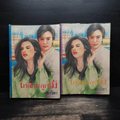 เหลี่ยมลูกไม้ 2 เล่มจบ - อาริตา