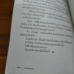 แผ่นดินหัวใจ - ดวงตะวัน รูปที่ 9