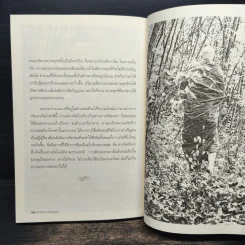 Monk In The Mountain ธรรมะจากพระภูเขา - พระอาจารย์สุมโน ภิกขุ รูปที่ 8