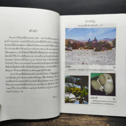 พรรณไม้พิศวง - พิชาน รูปที่ 7