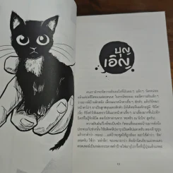มันมากับความเหมียว - วิชัย รูปที่ 9