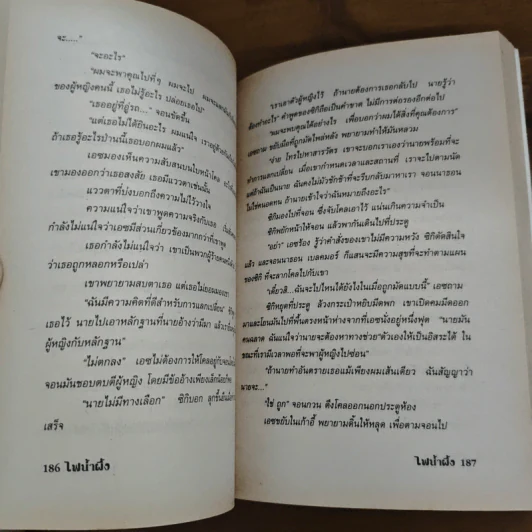 ไฟน้ำผึ้ง - ชาญา รูปที่ 8