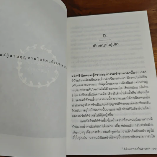 ไส้เดือนตาบอดในเขาวงกต - วีรพร นิติประภา รูปที่ 8
