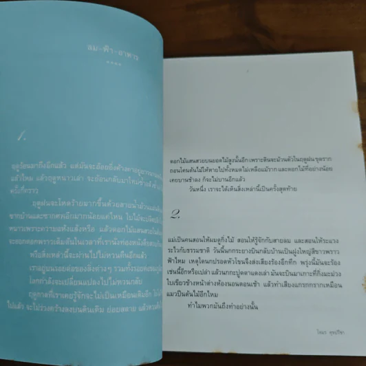 ลม ฟ้า อาหาร - โตมร ศุขปรีชา รูปที่ 8
