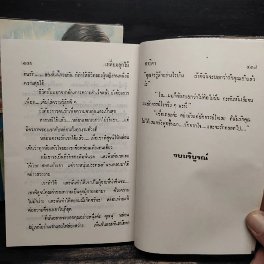 เหลี่ยมลูกไม้ 2 เล่มจบ - อาริตา รูปที่ 9