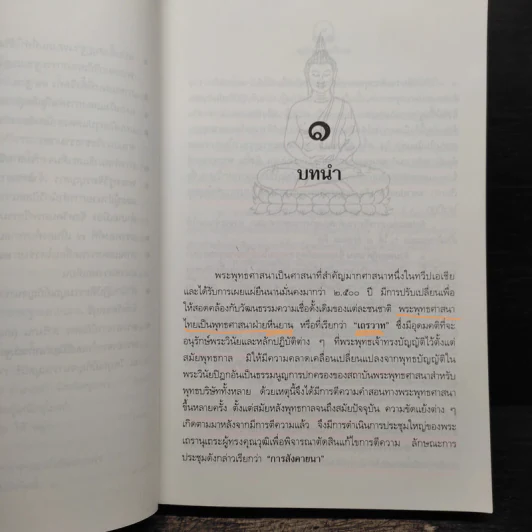 สมาธิในพระไตรปิฎก รูปที่ 12