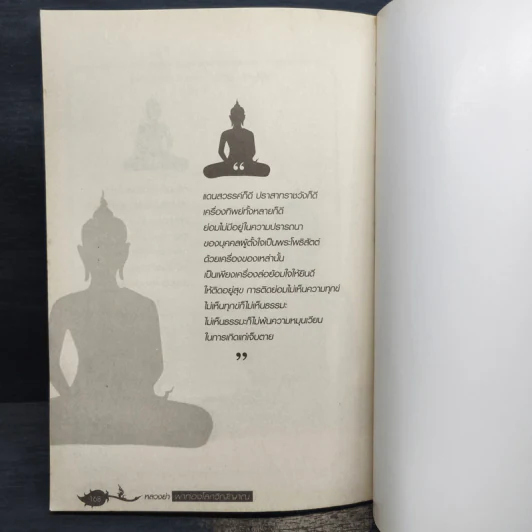 หลวงย่าพาท่องโลกวิญญาณ - พระมหาโพธิธรรมาจารย์ มหาเถรี รูปที่ 9