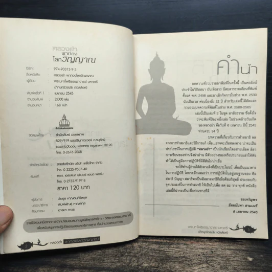 หลวงย่าพาท่องโลกวิญญาณ - พระมหาโพธิธรรมาจารย์ มหาเถรี รูปที่ 6