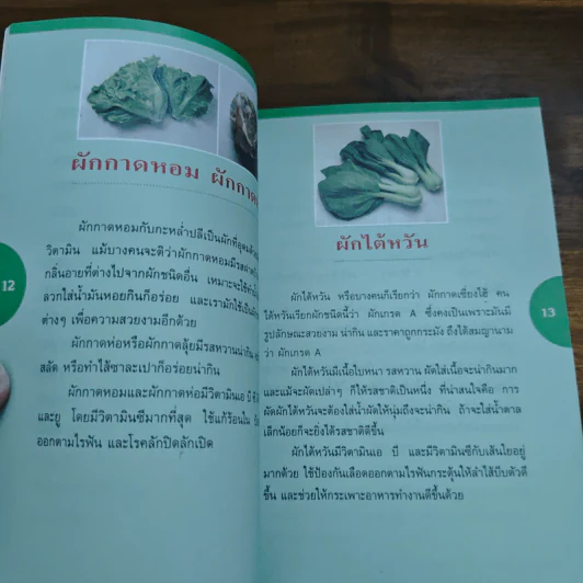 100 ยาจีน จากพืชผัก พร้อมสูตรอาหารเพื่อสุขภาพ รูปที่ 10