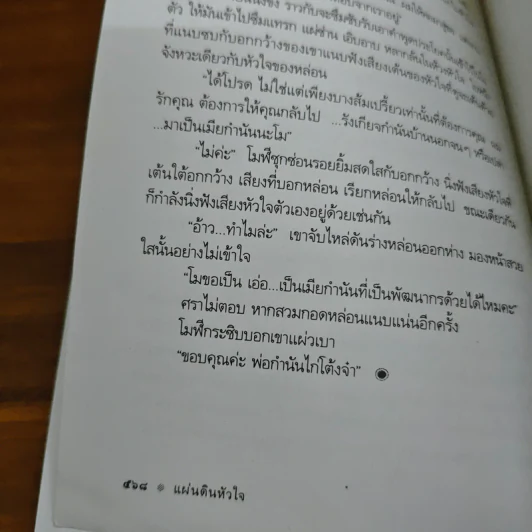 แผ่นดินหัวใจ - ดวงตะวัน รูปที่ 9