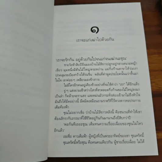 พระจันทร์วันอาทิตย์ - ดวงตะวัน รูปที่ 8
