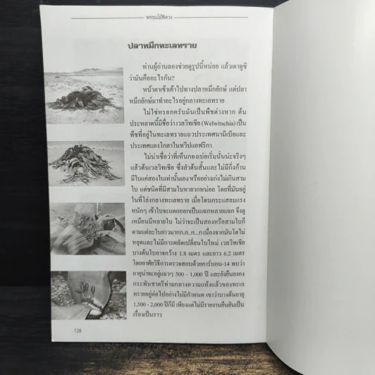 พรรณไม้พิศวง - พิชาน รูปที่ 11