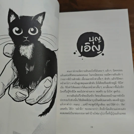มันมากับความเหมียว - วิชัย รูปที่ 9
