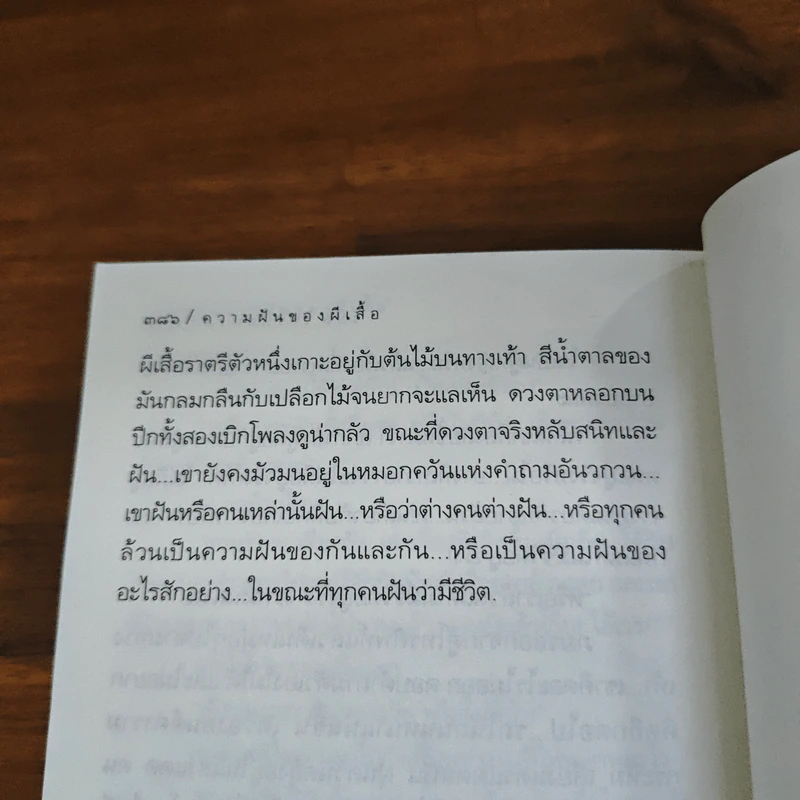 ความฝันของผีเสื้อ - วิมล ไทรนิ่มนวล รูปที่ 9