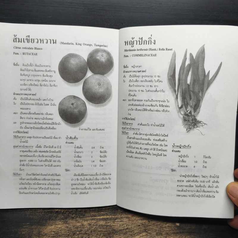 เคล็ดวิธี แก้กรรม-ปัญหาชีวิต กินอย่างไร-ไร้โรคภัย รูปที่ 8