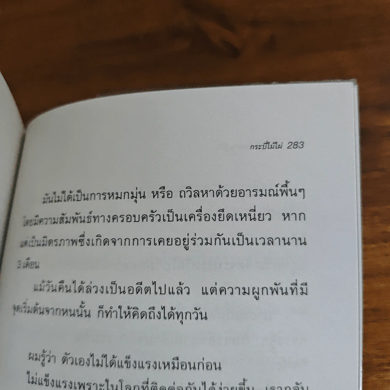 แสงสว่างในความรู้สึก - กระบี่ไม้ไผ่ รูปที่ 9