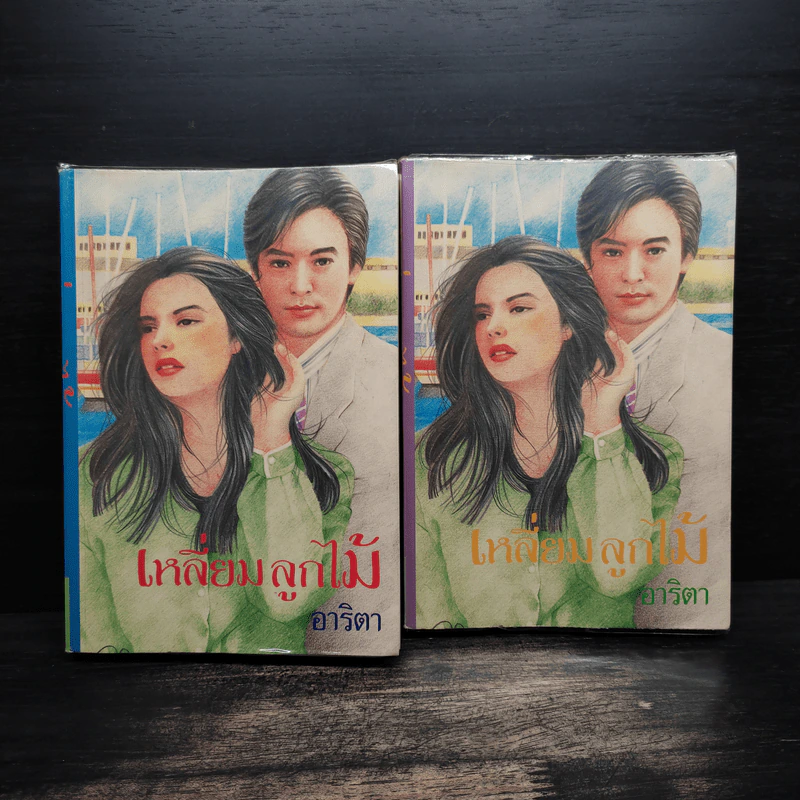 เหลี่ยมลูกไม้ 2 เล่มจบ - อาริตา รูปที่ 1