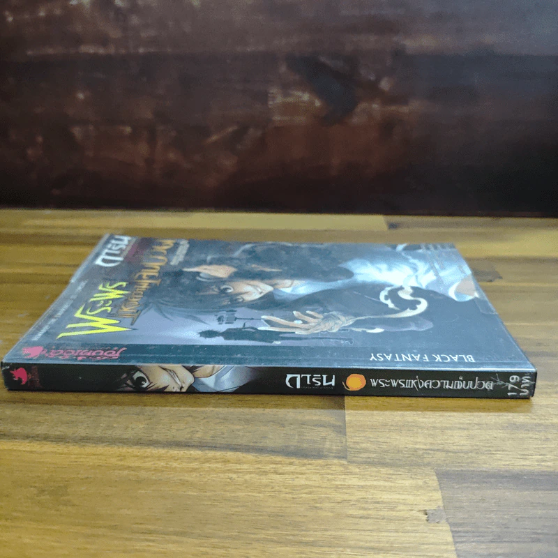 การิน ปริศนาคดีอาถรรพ์ เล่ม 5 ตอน พระพรแห่งความเจ็บปวด - อัยย์ รูปที่ 3