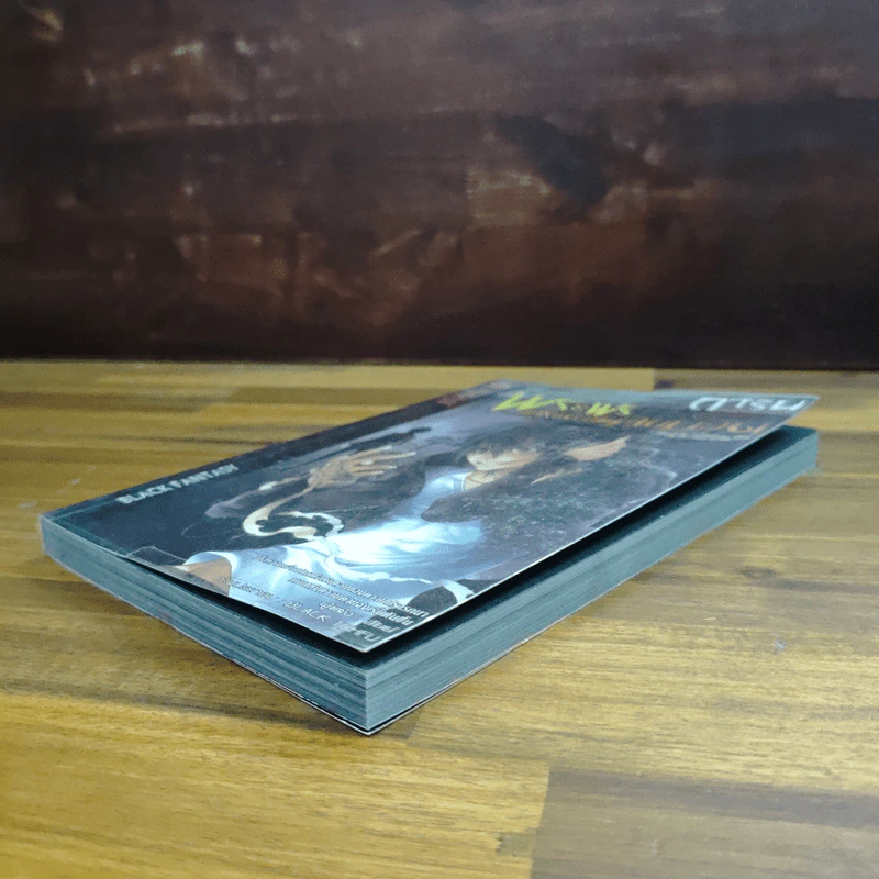 การิน ปริศนาคดีอาถรรพ์ เล่ม 5 ตอน พระพรแห่งความเจ็บปวด - อัยย์ รูปที่ 4