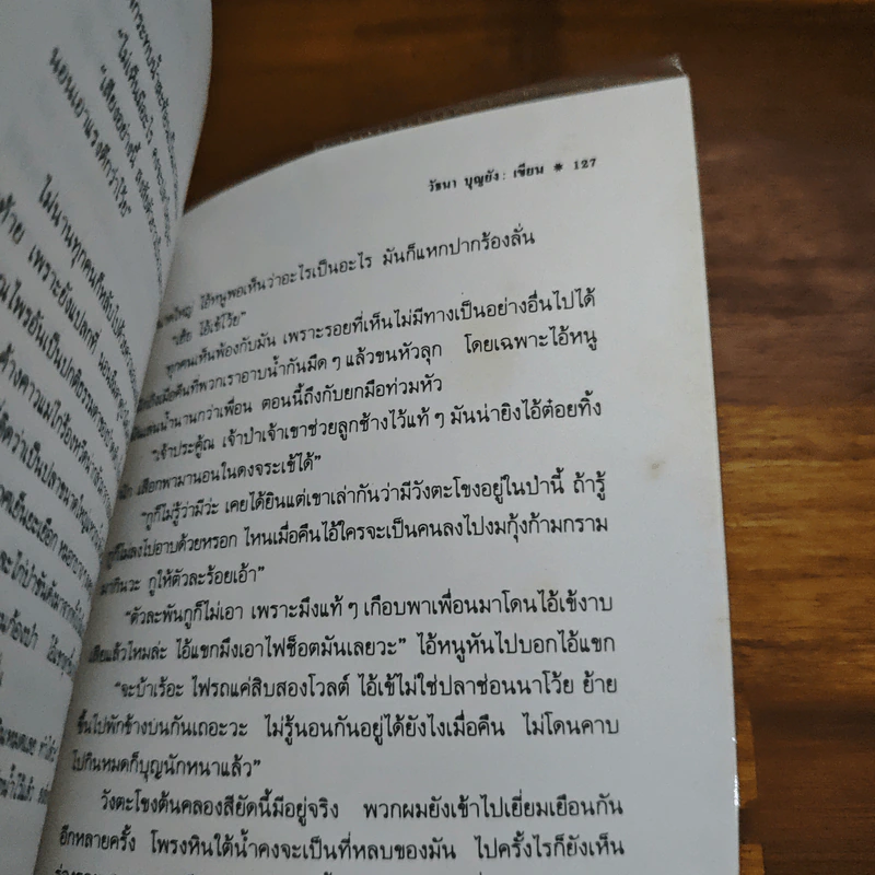 เพื่อนเก่าและเหล้าป่า - วัธนา บุญยัง รูปที่ 9