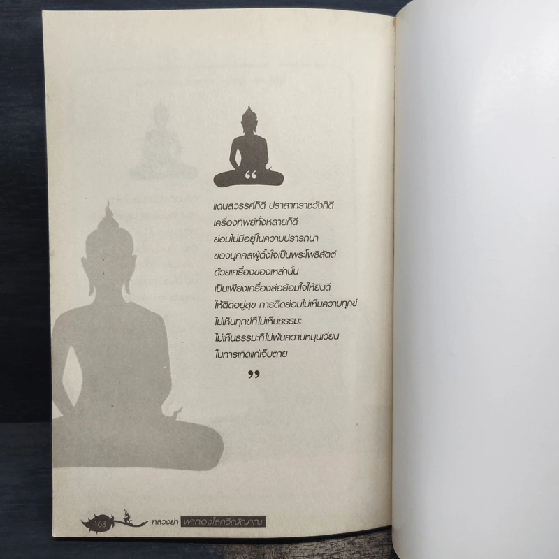 หลวงย่าพาท่องโลกวิญญาณ - พระมหาโพธิธรรมาจารย์ มหาเถรี รูปที่ 9