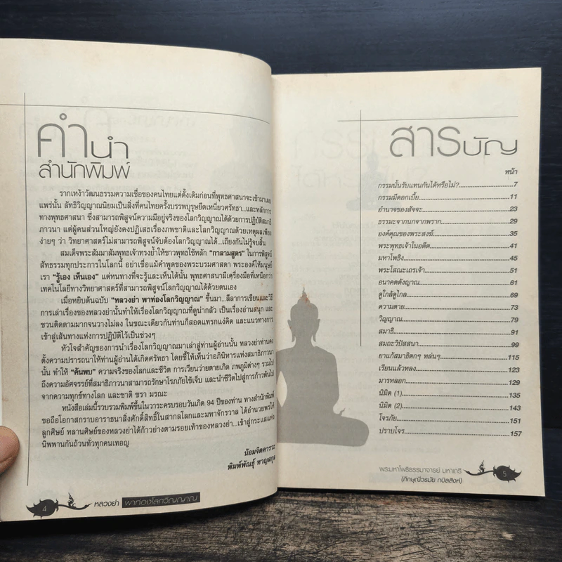 หลวงย่าพาท่องโลกวิญญาณ - พระมหาโพธิธรรมาจารย์ มหาเถรี รูปที่ 7