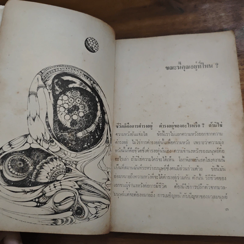 ชีวิตคุณมีอยู่เพียงขณะเดียว - รุ่งอรุณ ณ. สนธยา รูปที่ 9