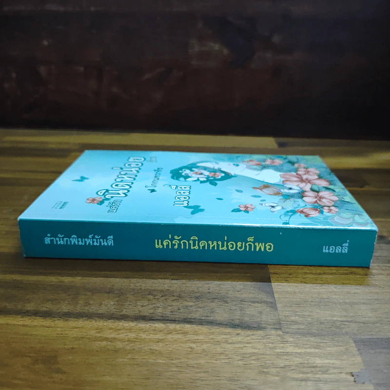 แค่รักนิดหน่อยก็พอ โกกนทวารีช - แอลลี่ รูปที่ 3