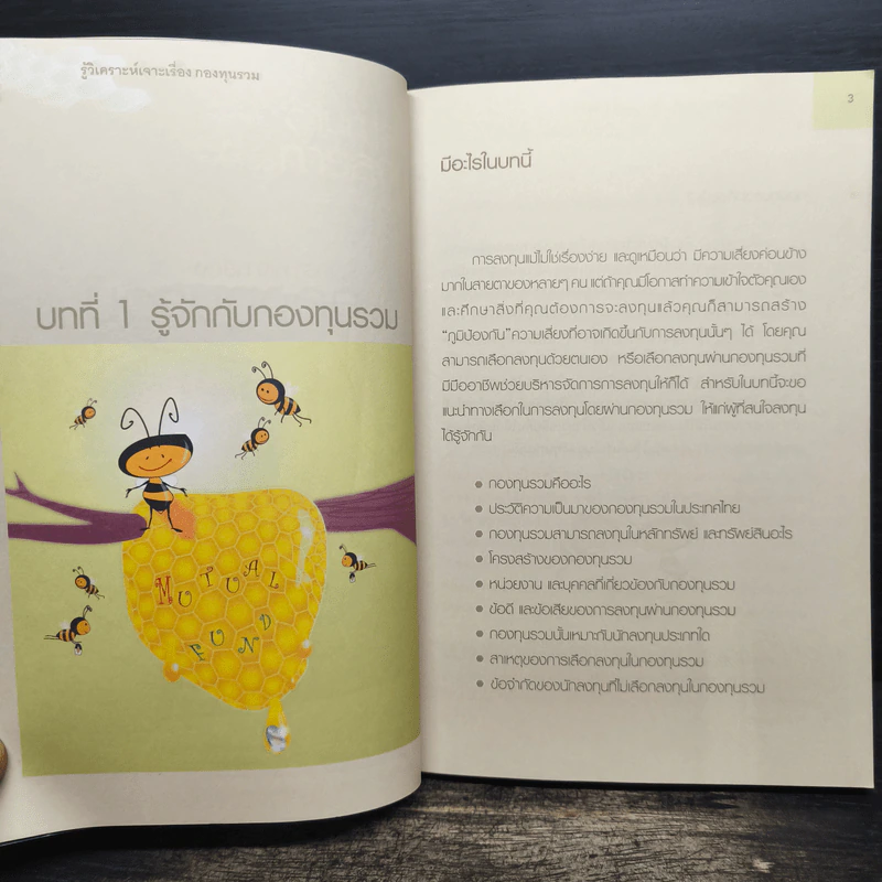รู้วิเคราะห์เจาะเรื่องกองทุนรวม - ดร.ธนัยวงศ์ กีรติวานิชย์, ภัสรา ชวาลกร รูปที่ 11