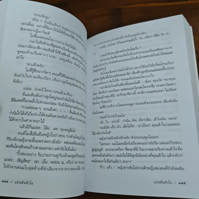แผ่นดินหัวใจ - ดวงตะวัน รูปที่ 8