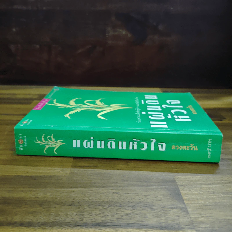 แผ่นดินหัวใจ - ดวงตะวัน รูปที่ 3