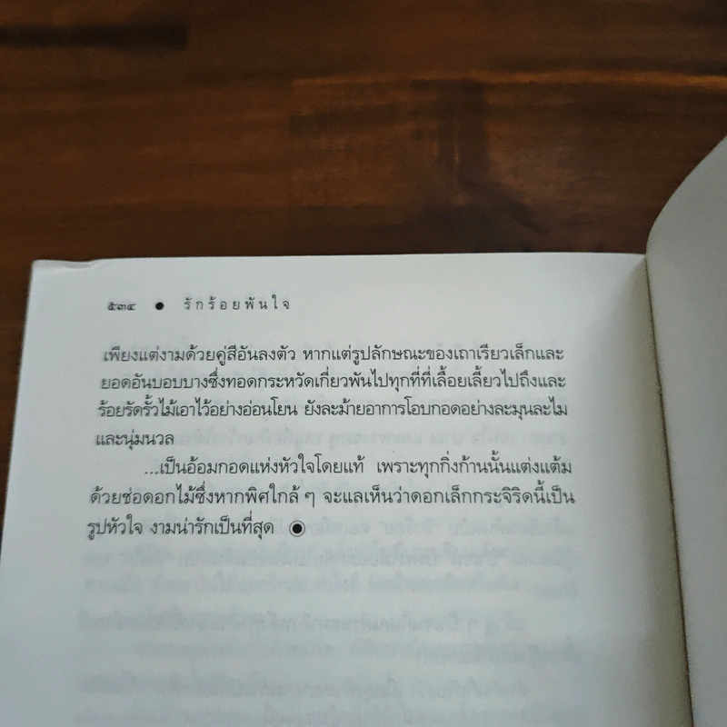 รักร้อยพันใจ - ดวงตะวัน รูปที่ 9