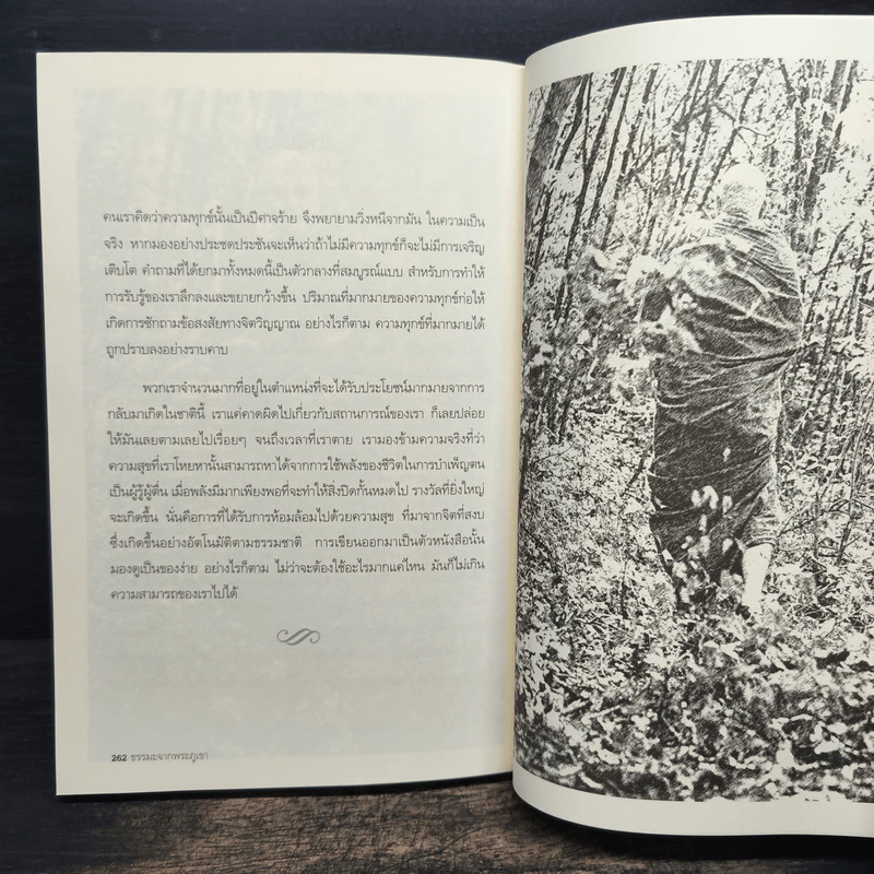 Monk In The Mountain ธรรมะจากพระภูเขา - พระอาจารย์สุมโน ภิกขุ รูปที่ 8