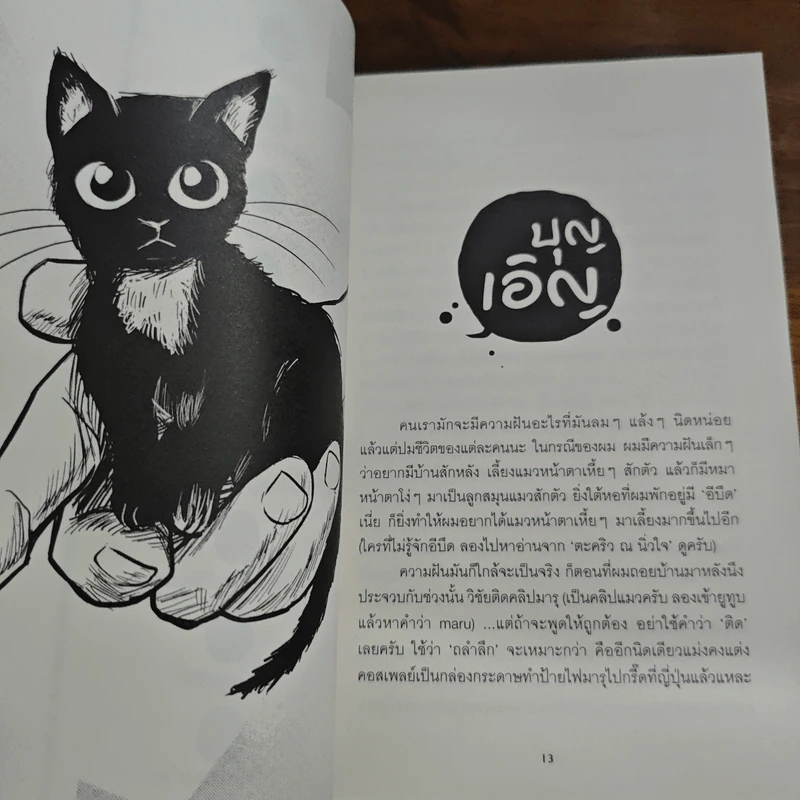 มันมากับความเหมียว - วิชัย รูปที่ 9