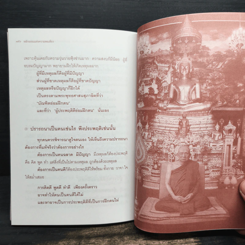 พอ หลักธรรมแห่งความพอเพียง รูปที่ 9