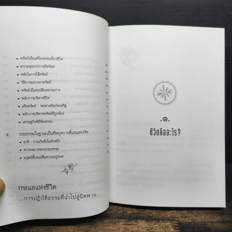 กระแสแห่งชีวิต การปฏิบัติธรรมที่นำไปสู่นิพพาน - พุทธทาสภิกขุ รูปที่ 8