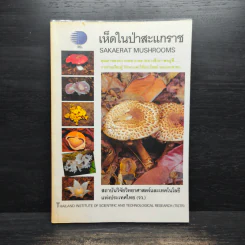 เห็ดในป่าสะแกราช Sakaerat Mushrooms รูปที่ 1
