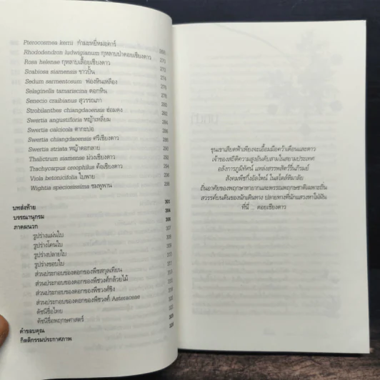 สูงเสียดดอยพรรณไม้งาม - ปิยะ โมคมุล รูปที่ 9