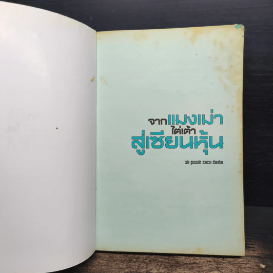 จากแมงเม่าไต่เต้าสู่เซียนหุ้น - วลัย ชูธรรมรัช รูปที่ 6