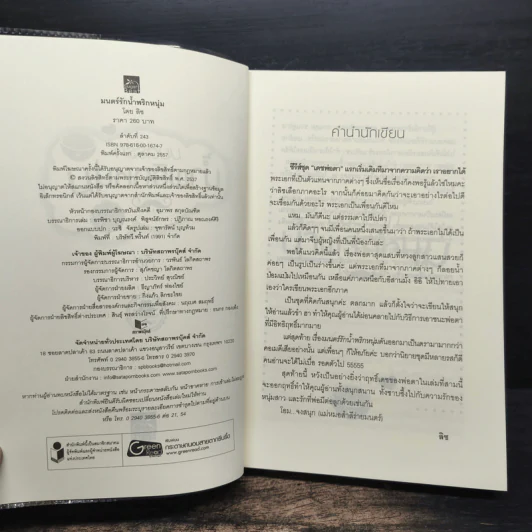 ซีรีส์เดชพ่อตา : มนตร์รักน้ำพริกหนุ่ม - ลิซ รูปที่ 6