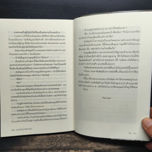 ซีรีส์เดชพ่อตา : มนตร์รักน้ำพริกหนุ่ม - ลิซ รูปที่ 8
