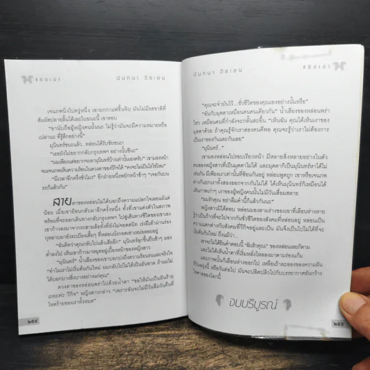 แรงเงา - นันทนา วีระชน รูปที่ 8