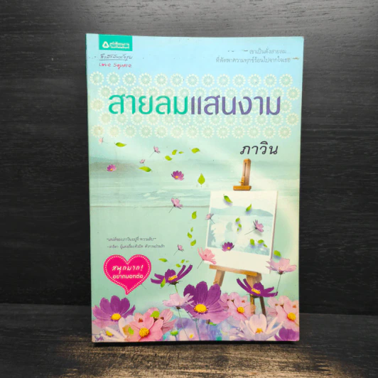 สายลมแสนงาม - ภาวิน รูปที่ 1